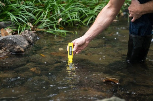 The Potential Benefits of Drinking Alkaline Water - GroundedKiwi.nz