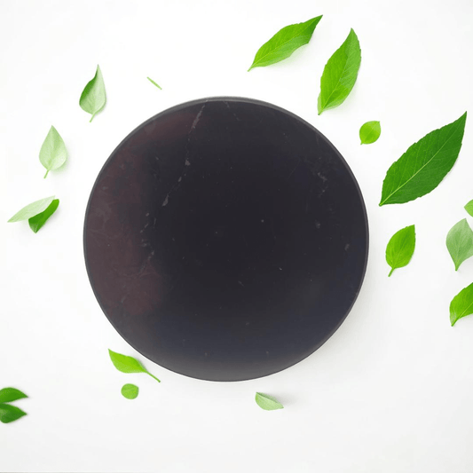 Large 50mm Shungite Fridge Magnet - GroundedKiwi.nz 5ganit radiationcell