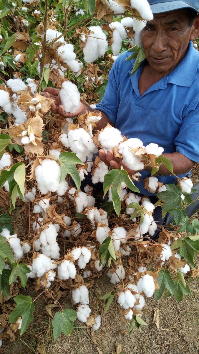 Organic Pima Cotton Tee - Men's Steel - GroundedKiwi.nz clothingcottoncrew