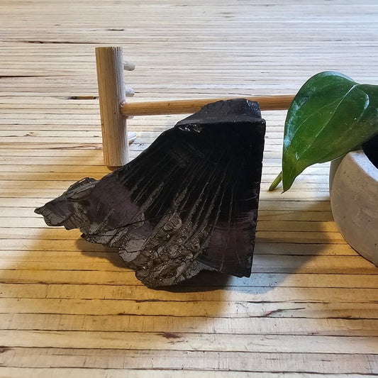 The Ultimate Shungite: Rare One - Piece Nugget - Broad Peak - GroundedKiwi.nz air travelcarchunk