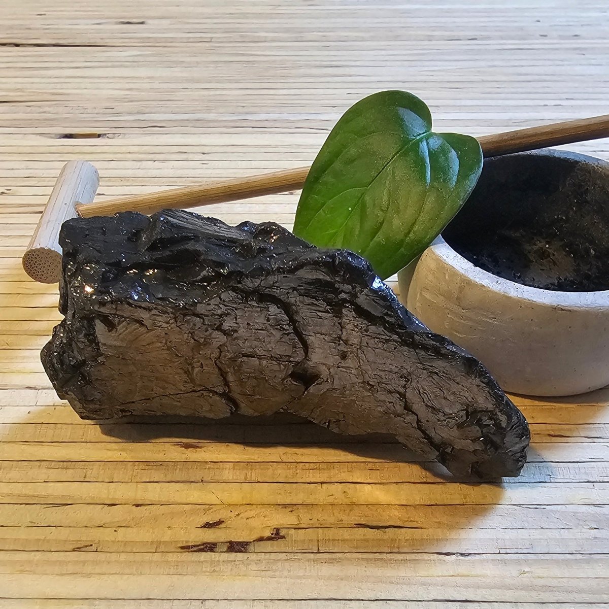 The Ultimate Shungite: Rare One - Piece Nugget - Mount Rainier - GroundedKiwi.nz air travelcarchunk