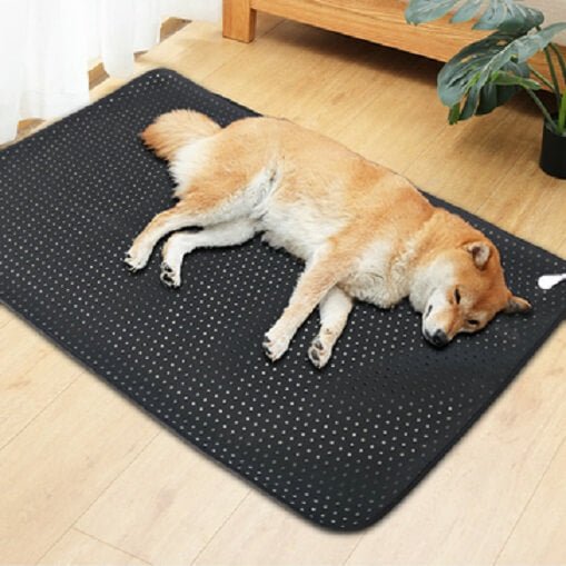 Earthing Pet Mat for Dogs - Connects Your Beloved Pet to the Earth for Healing and Restoration - 90 x 68cm - GroundedKiwi.nzAnimals & Pet Supplies Animals & Pet Suppliesadd onanimalcat