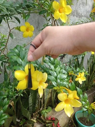 Shungite Pendant - Pendulum - GroundedKiwi.nzNecklace Necklace5ganit radiationcrystal