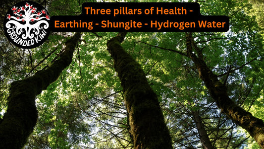 My Three Pillars of Health - Earthing - Shungite - Hydrogen Water - GroundedKiwi.nz