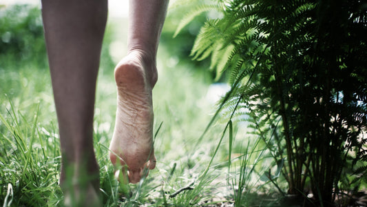 Rediscovering Our Connection with Mother Earth: The Basics of Earthing for Wellbeing - GroundedKiwi.nz