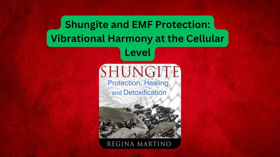 Shungite and EMF Protection: Vibrational Harmony at the Cellular Level - GroundedKiwi.nz