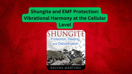 Shungite and EMF Protection: Vibrational Harmony at the Cellular Level - GroundedKiwi.nz