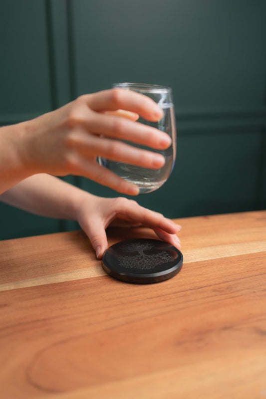 Shungite: My Journey with This Mysterious Stone - GroundedKiwi.nz