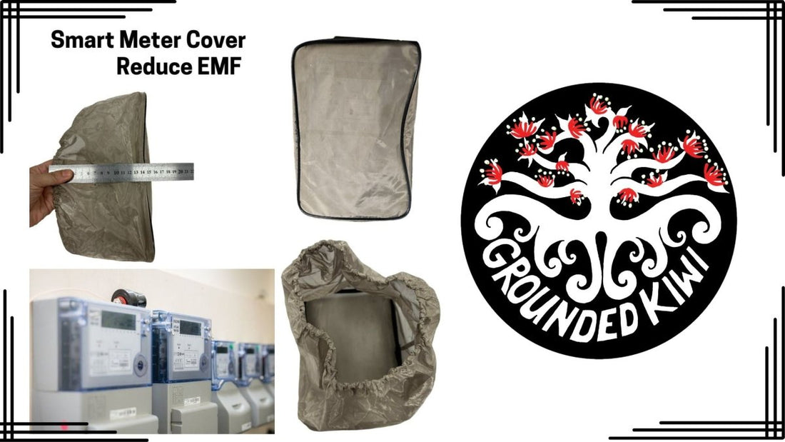 Smart Meters - Do we want these in our homes, and what can we do about them? - GroundedKiwi.nz