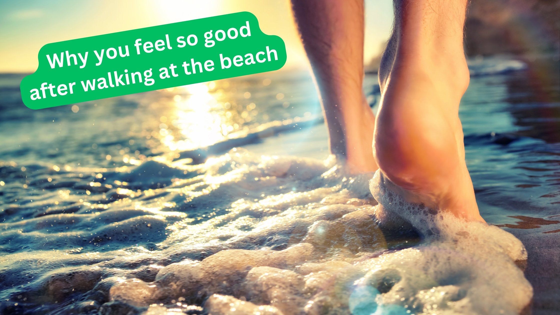 Why is it that you feel soo good after a walk on the beach? - GroundedKiwi.nz