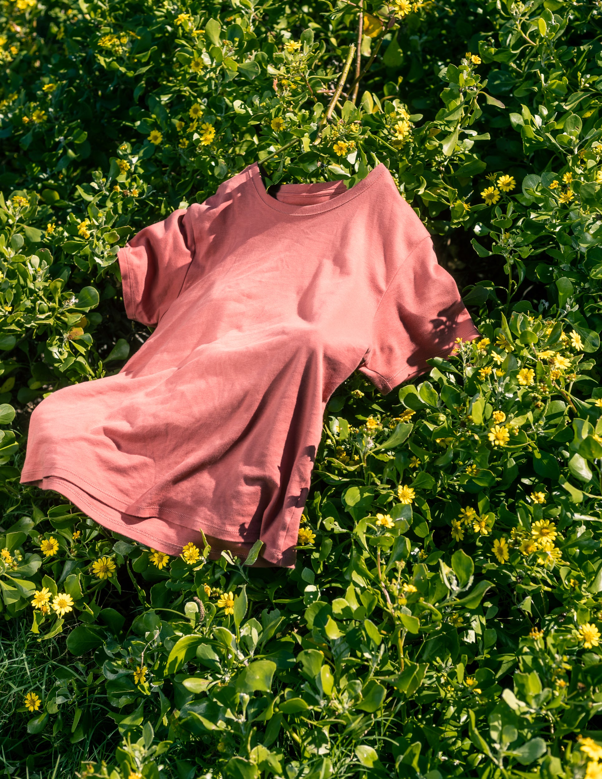 Organic Pima Cotton Tee - Men's Cedar