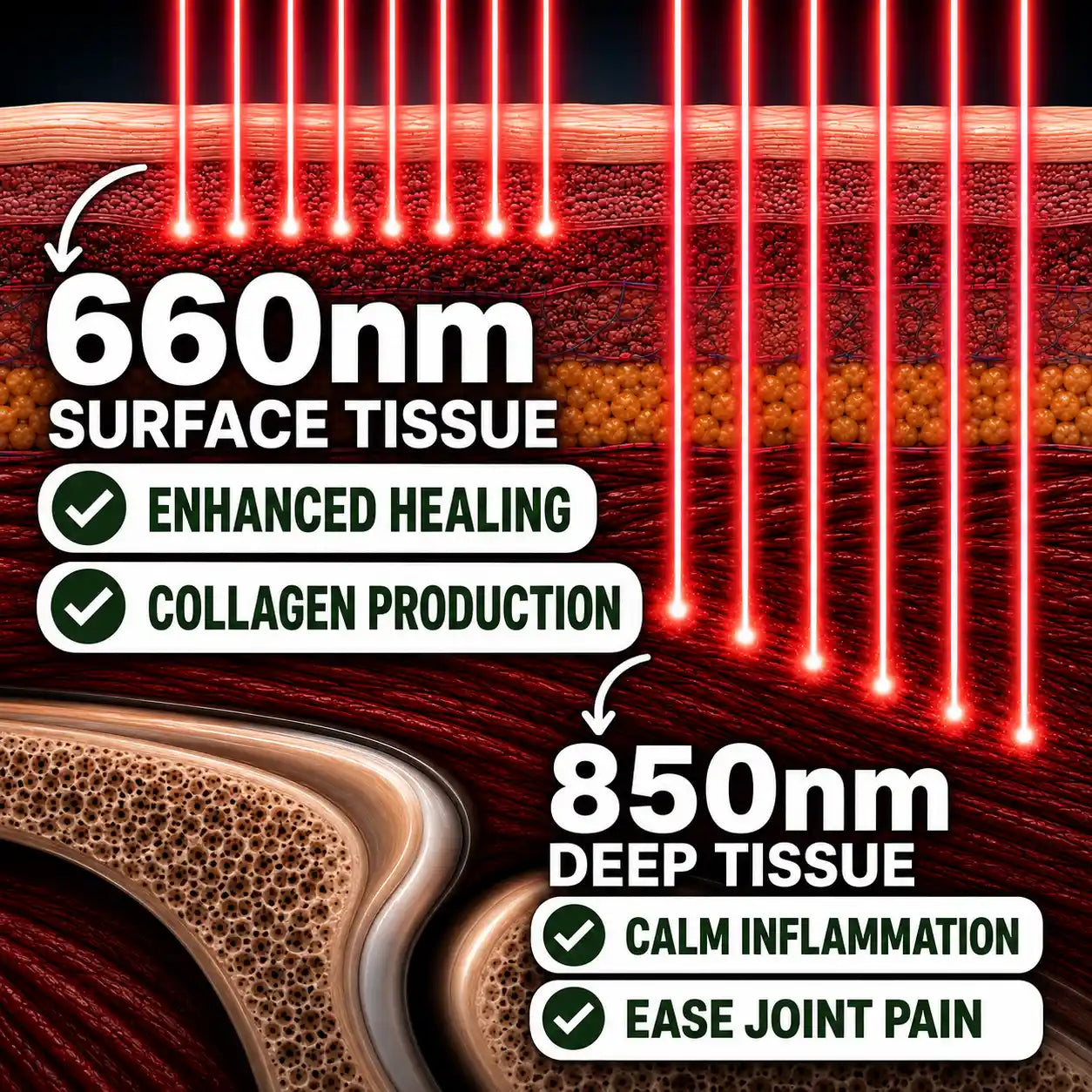 Red Light Therapy + Heated Massage Strap