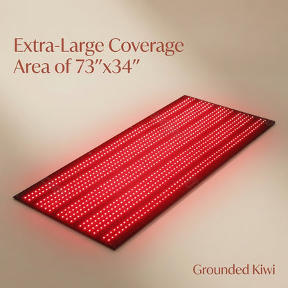 Red Light Therapy Blanket