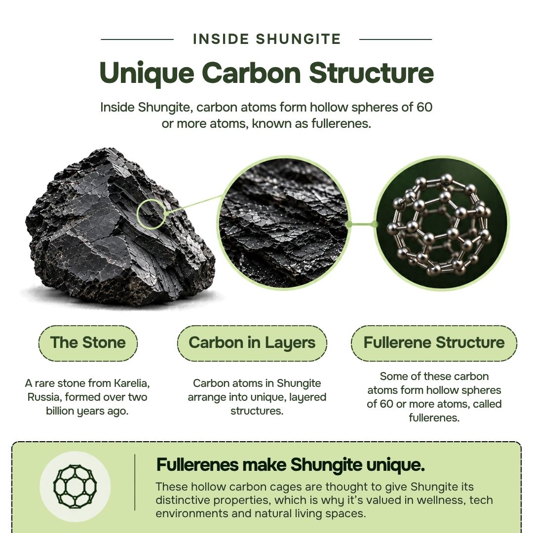 Shungite Tumbled Stone Stud Earrings