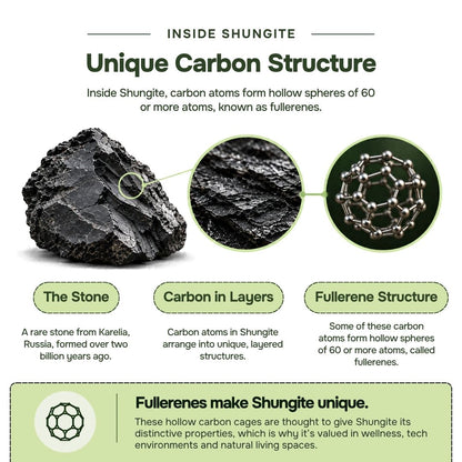 Shungite Tumbled Stone Stud Earrings
