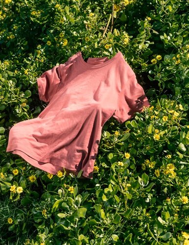 Organic Pima Cotton Tee - Raquel Crew in Cedar - GroundedKiwi.nz clothingcottoncrew