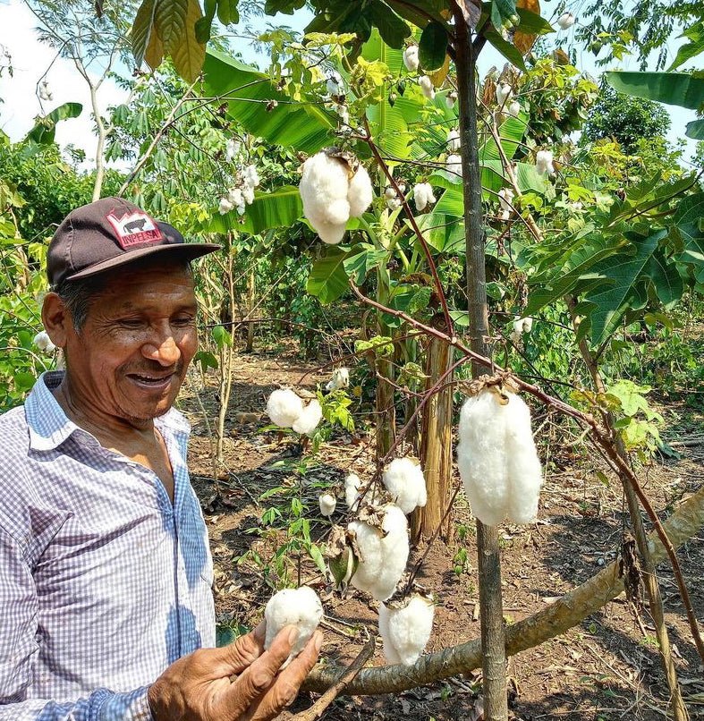 Organic Pima Cotton Tee - Raquel Crew in Cedar - GroundedKiwi.nz clothingcottoncrew