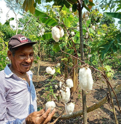 Organic Pima Cotton Tee - Raquel Crew in Cedar - GroundedKiwi.nz clothingcottoncrew