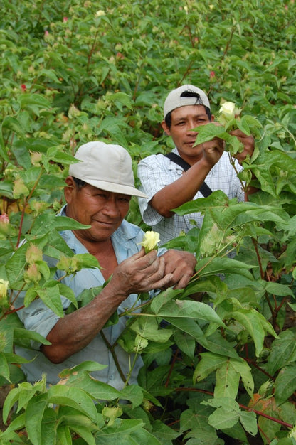Organic Pima Cotton Tee - Raquel Crew in Steel - GroundedKiwi.nz clothingcottoncrew