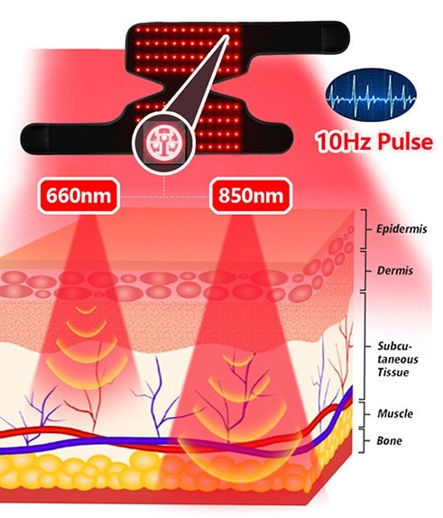 Red Light Therapy Joint Wrap - Knee, Shoulder, Elbow, Ankle - GroundedKiwi.nzred light therapy red light therapybandbeltelbow