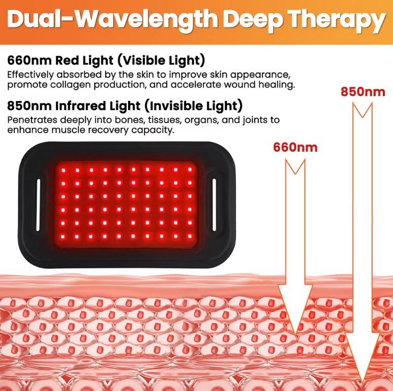 Red Light Therapy Pad for Dogs, Horses & Humans - GroundedKiwi.nzred light therapy red light therapybandbeltcat