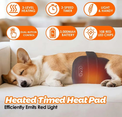 Red Light Therapy Pad for Dogs, Horses & Humans - GroundedKiwi.nzred light therapy red light therapybandbeltcat
