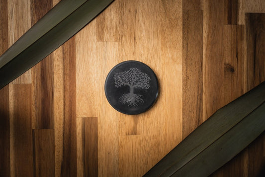 Shungite Stone Glass Stand / Coaster - Tree Of Life Engraved - GroundedKiwi.nzHome & Garden Home & Garden5ganit radiationcoaster