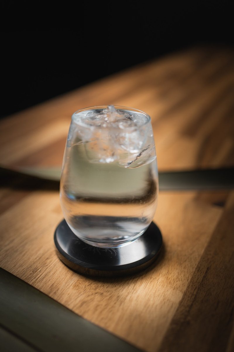 Shungite Stone Glass Stand / Coaster - Tree Of Life Engraved - GroundedKiwi.nzHome & Garden Home & Garden5ganit radiationcoaster