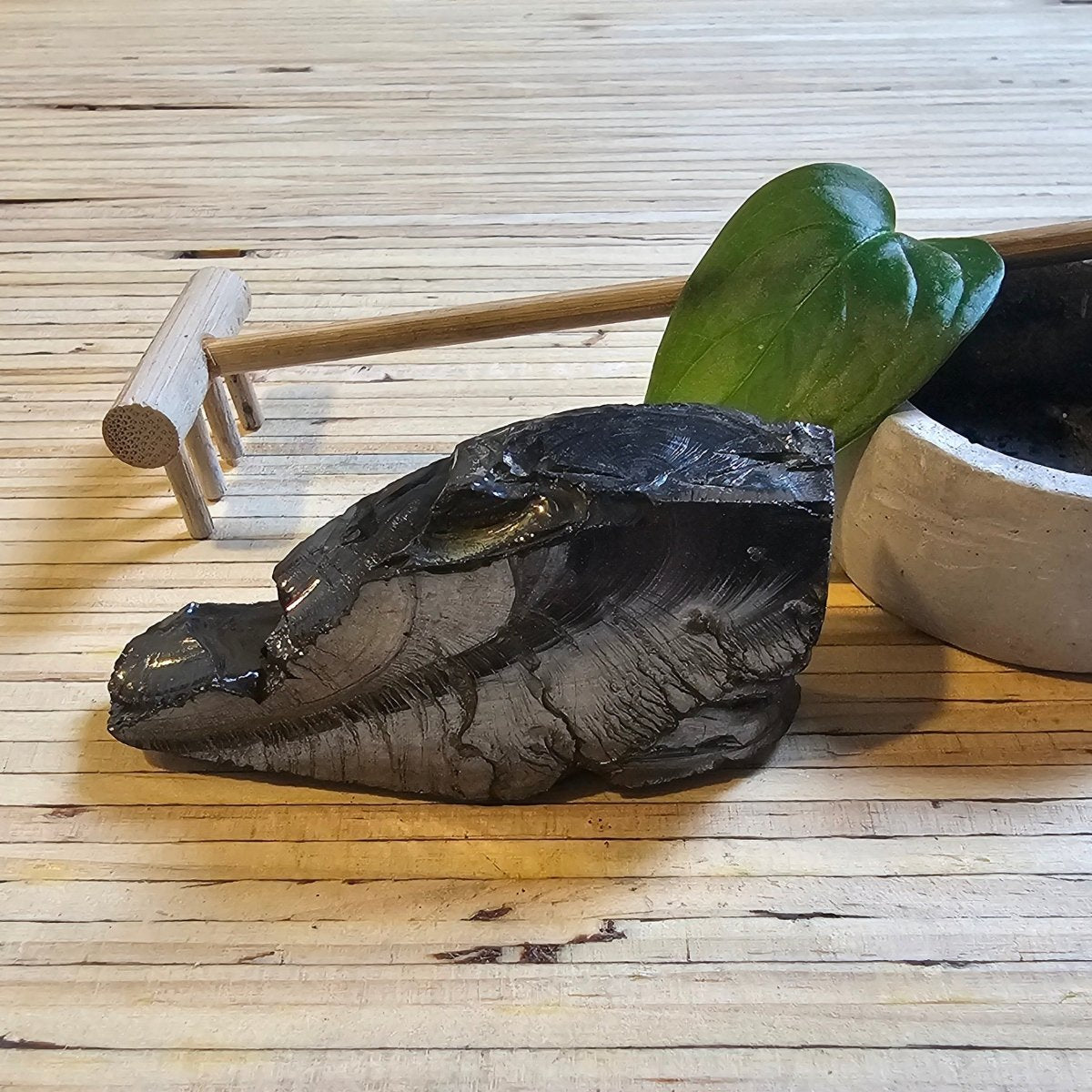 The Ultimate Shungite: Rare One - Piece Nugget - Aconcagua (Andes) - GroundedKiwi.nz air travelcarchunk