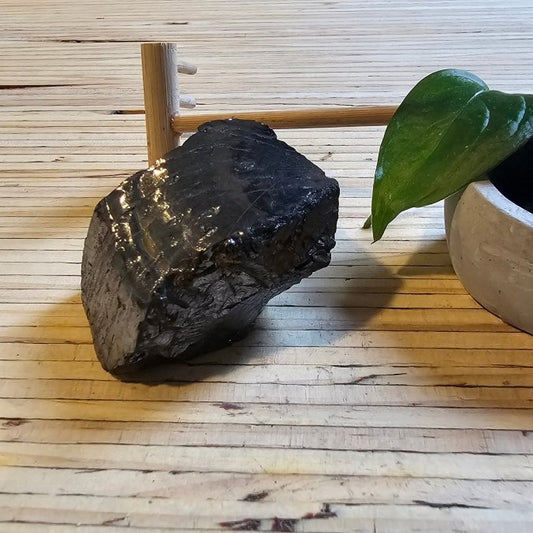 The Ultimate Shungite: Rare One - Piece Nugget - Mount Haast (New Zealand) - GroundedKiwi.nz air travelcarchunk