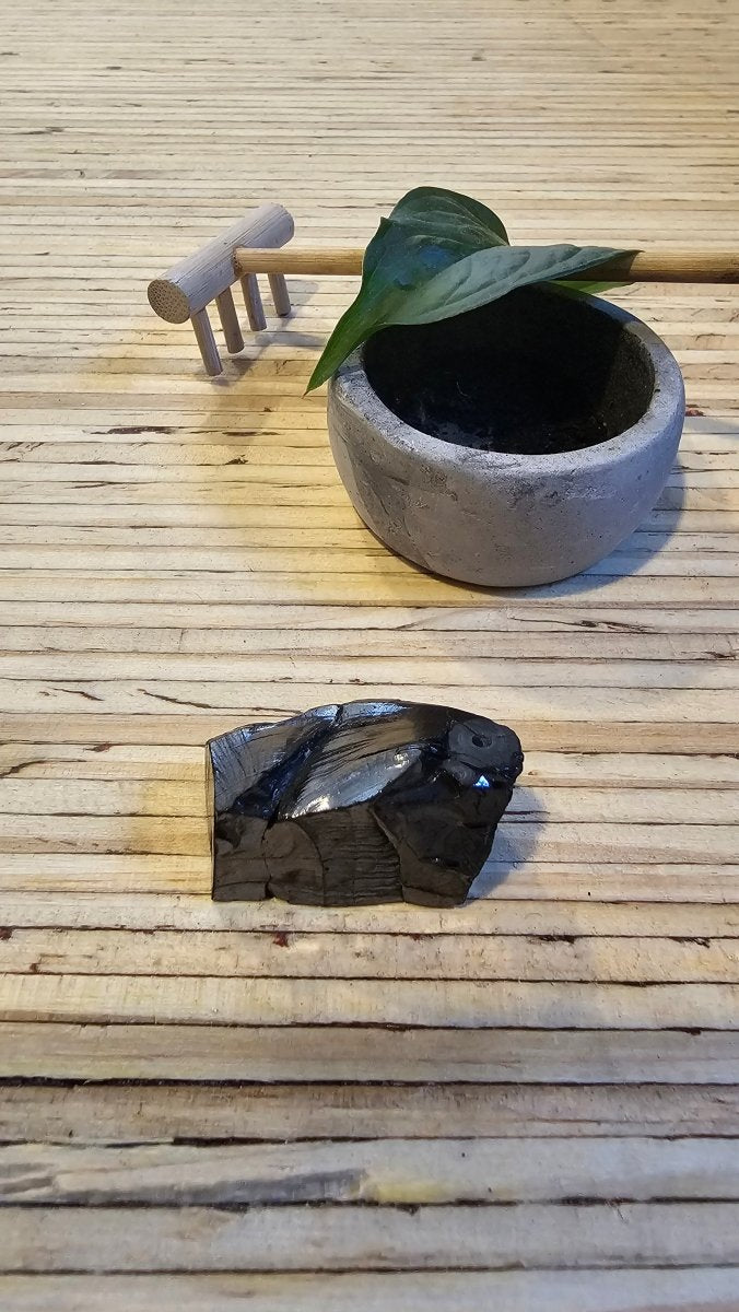 The Ultimate Shungite: Rare One - Piece Nugget - Mount Haast (New Zealand) - GroundedKiwi.nz air travelcarchunk