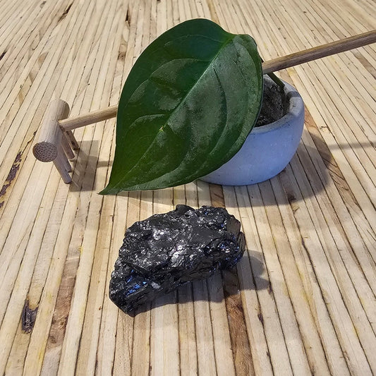 The Ultimate Shungite: Rare One - Piece Nugget - Mount Rainier - GroundedKiwi.nz air travelcarchunk