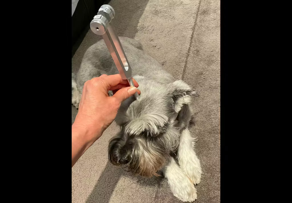 High-Precision Tuning Fork Set for Sound Therapy and Meditation