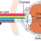 CLIP-ON Anti-Blue Computer Glasses. Reduces Digital Eye Strain Clear - GroundedKiwi.nz