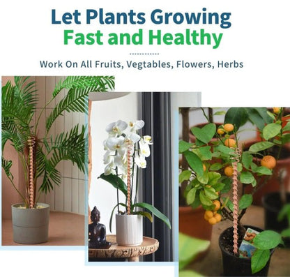 Electroculture Copper Gardening Antenna Set - GroundedKiwi.nz electroelectrocultureplant