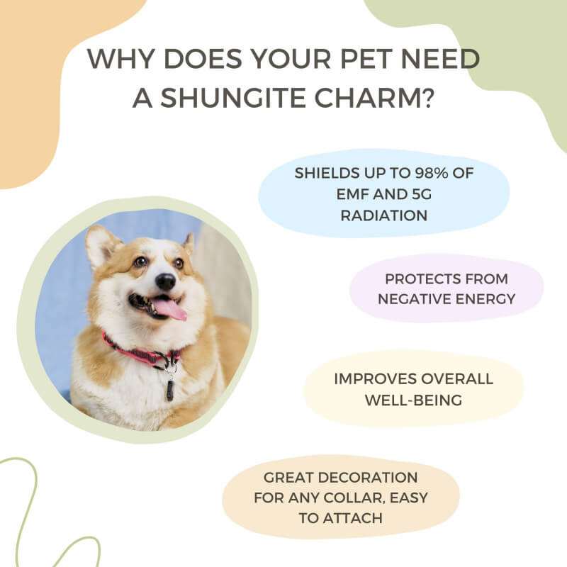 Shungite Collar charm - DOG PAW - EMF protection - GroundedKiwi.nz
