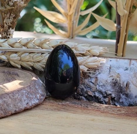 Radiant Shungite: Polished Egg - GroundedKiwi.nz antiradiationbedroomegg